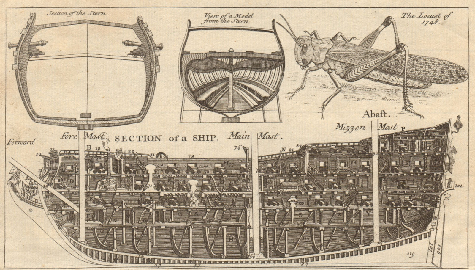 Cross-section of a warship. The Locust of 1748 1748 old antique print picture